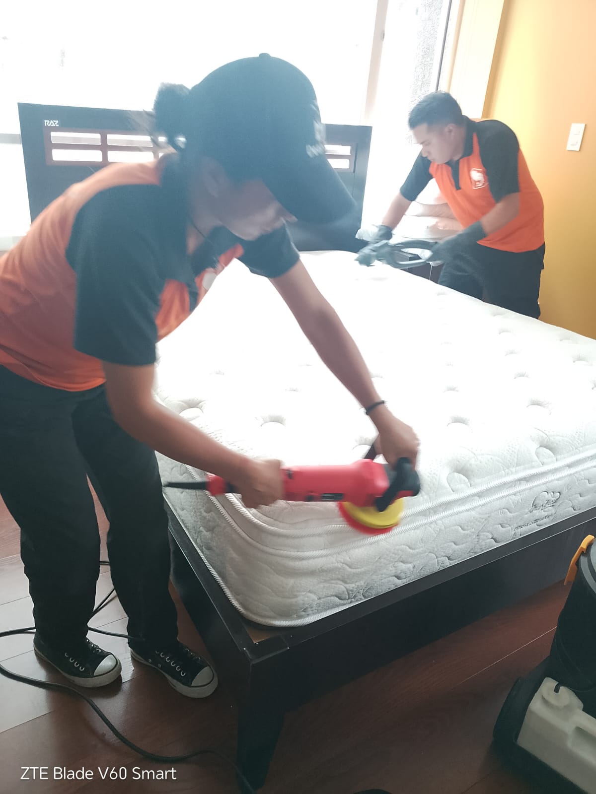 Limpieza de Colchones, Alfombras y Tapicería